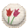 icon_covered_button02_075.gif
